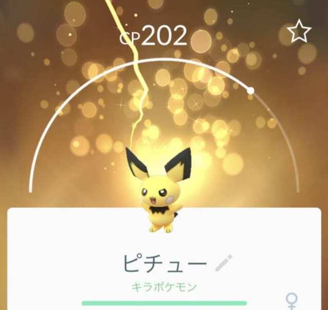 キラポケモン.jpg