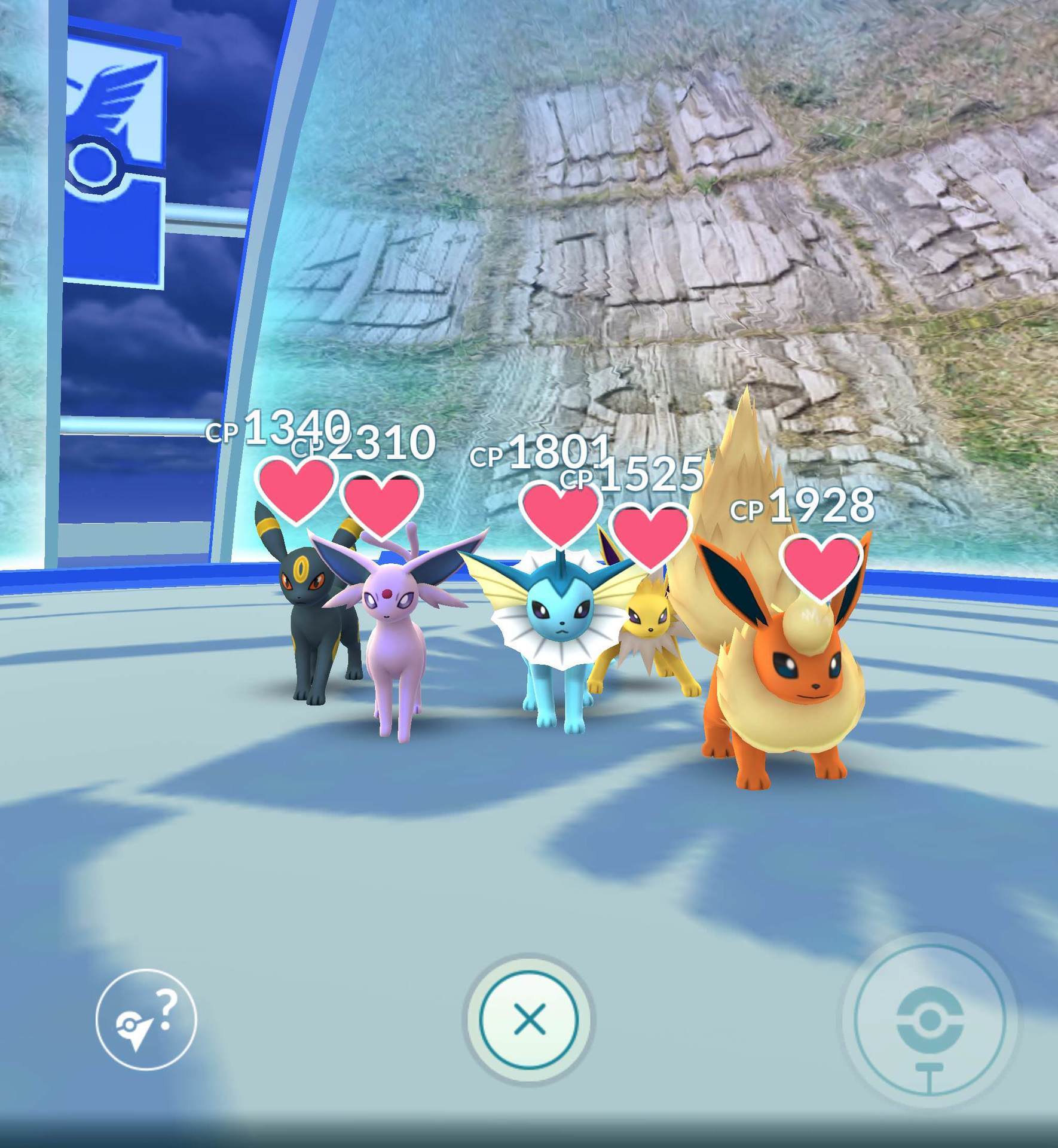 ポケモンgo ブイズジムは偽ワンコがいないかつい探してしまうのが癖になっている ｗｗｗｗｗｗｗｗ ポケモンアンテナサイト