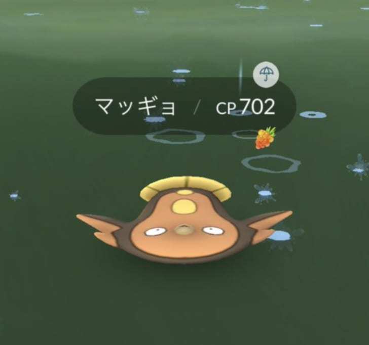 ポケモンgo リサーチでマッギョ取ってもxl落とさなかった 確定じゃなかったけ