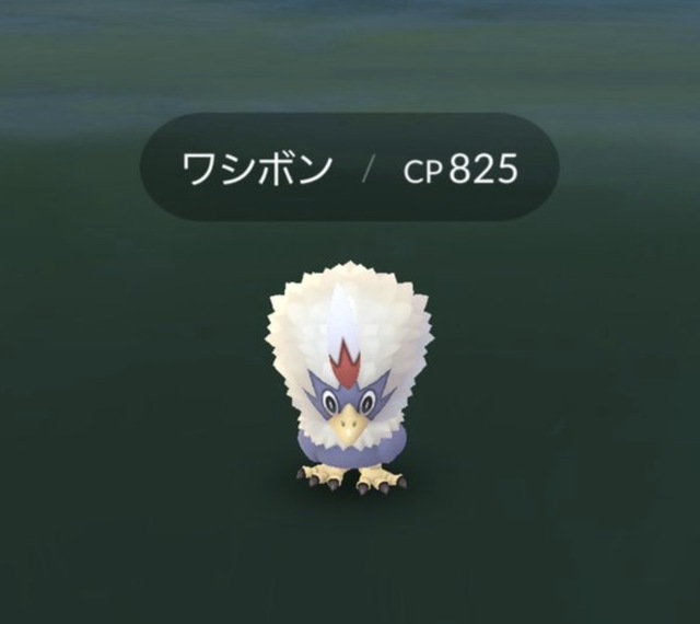 ポケモンgo ワシボンのバーゲンセールだな