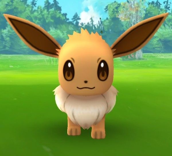 ポケモンgo 進化後も とっておき は覚えているのか なみのりピカチュウと同じパターン イーブイコミュニティディ ポケモンgo攻略まとめ速報