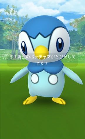 ポケモンgo 第四世代のポッチャマってピカチュウと並んで人気あるんじゃないの ポケモンgo攻略まとめ速報